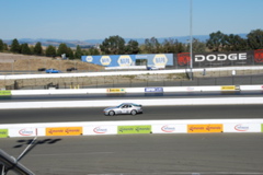 DSC_0137.JPG